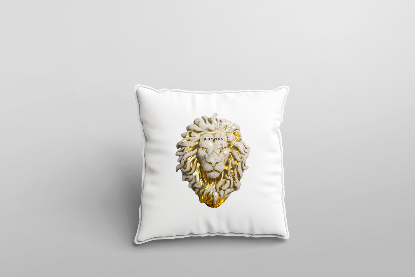 Federe cuscino Kalyston™ Pietra(set 2 pezzi)