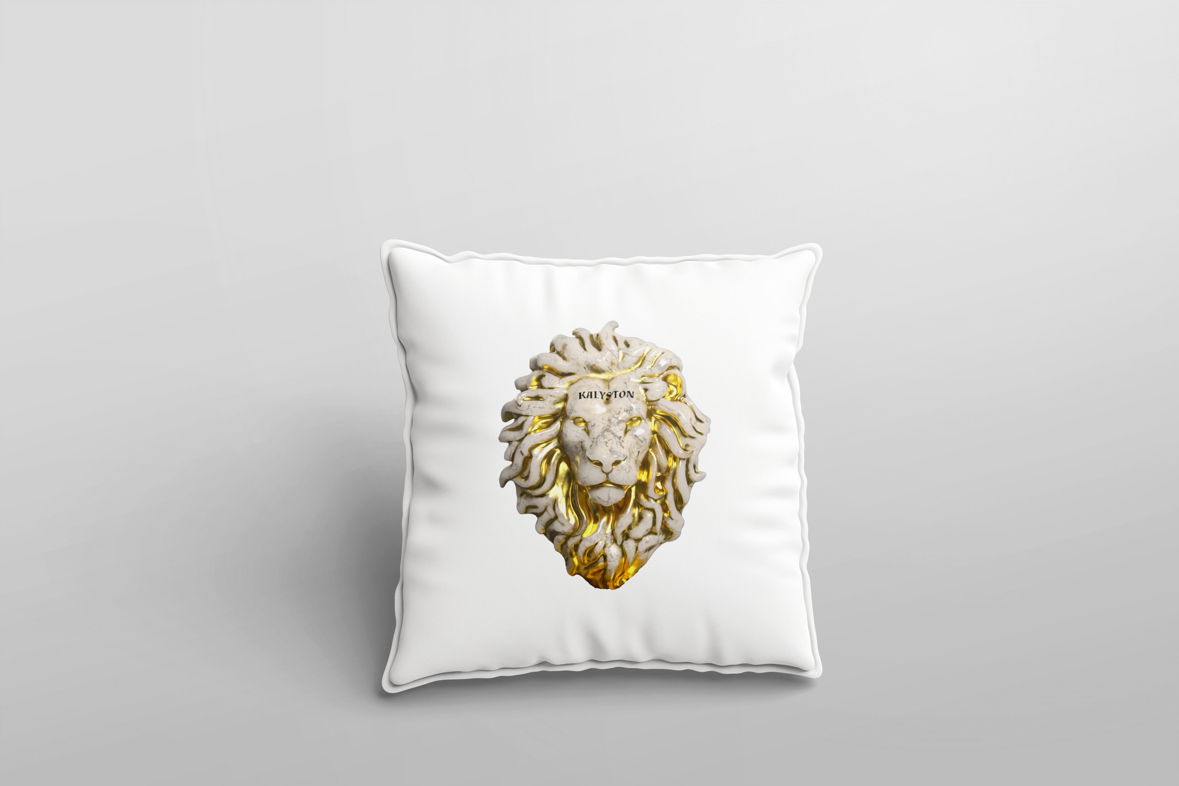 Federe cuscino Kalyston™ Pietra(set 2 pezzi)