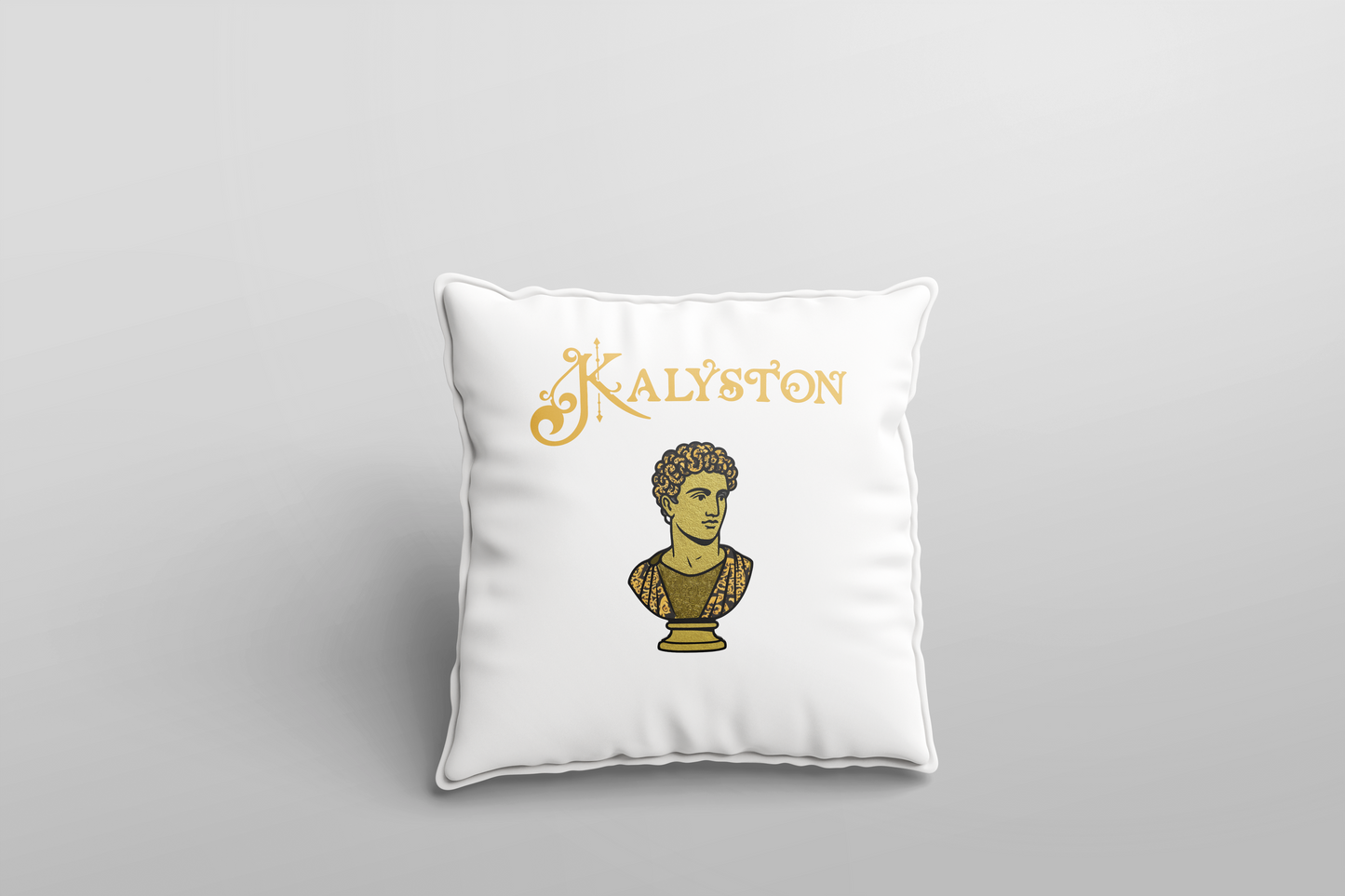 Federe cuscino Kalyston™ Barocco (set 2 pezzi)