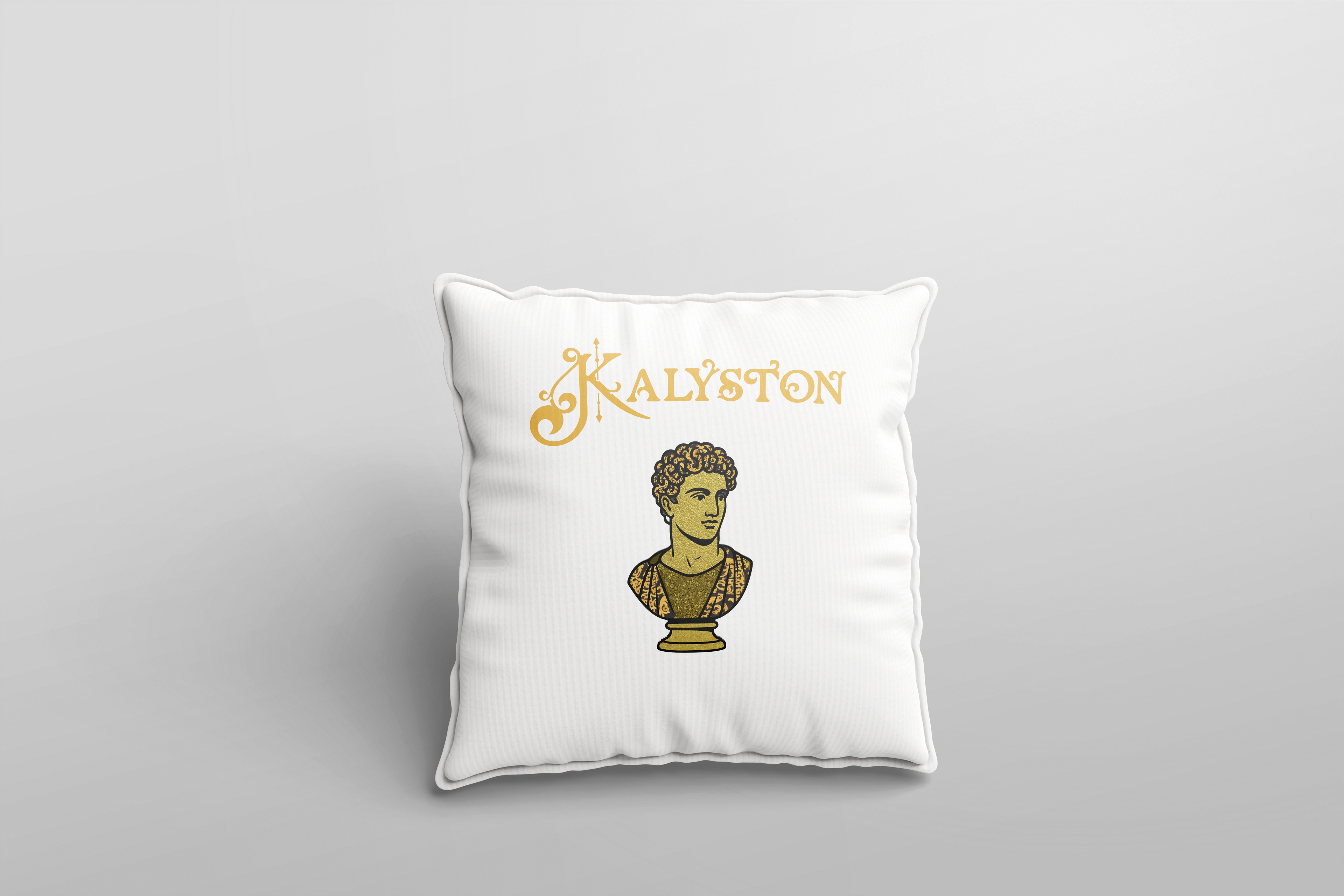 Federe cuscino Kalyston™ Barocco (set 2 pezzi)