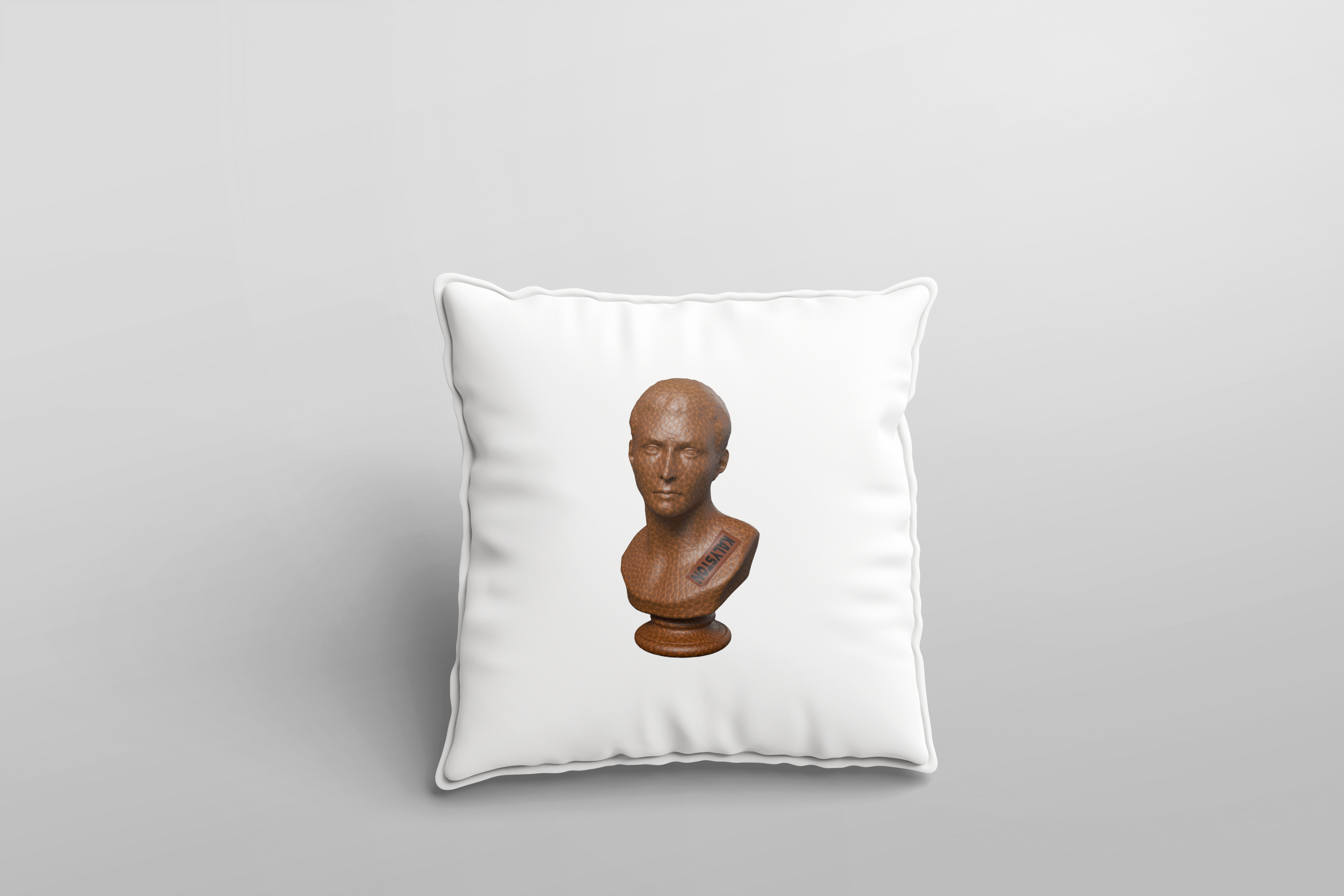 Federe cuscino Kalyston™ Pelle(set 2 pezzi)